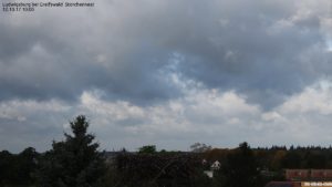 Webcam Storchennest in Ludwigsburg bei Greifswald