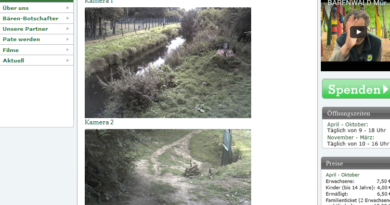 Webcams Bärenwald Müritz